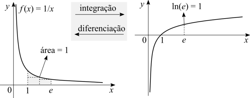 File:Euler constant graph pt.png